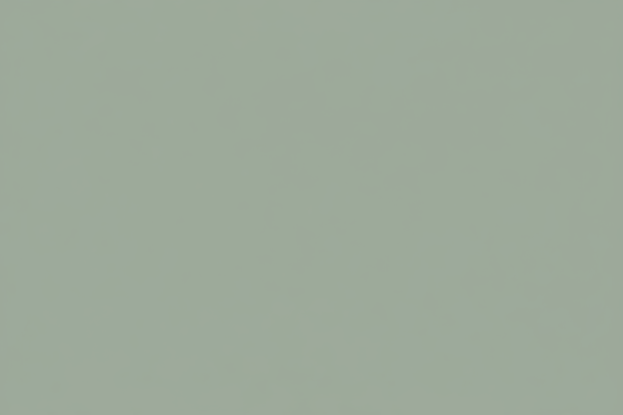 sin imagenes solo color